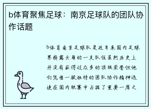 b体育聚焦足球：南京足球队的团队协作话题