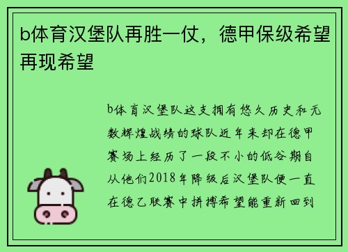 b体育汉堡队再胜一仗，德甲保级希望再现希望