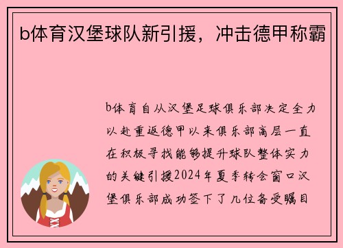 b体育汉堡球队新引援，冲击德甲称霸